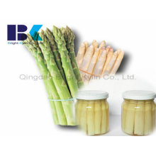 Les asperges fraîches naturelles dans les casseroles